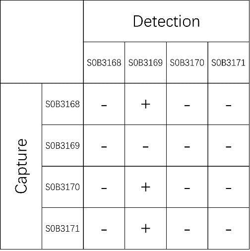 Adiponectin Recombinant Rabbit mAb (SDT-692-110)