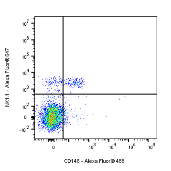 Alexa Fluor® 488 Rat Anti-Mouse CD146 Antibody (S-R606)