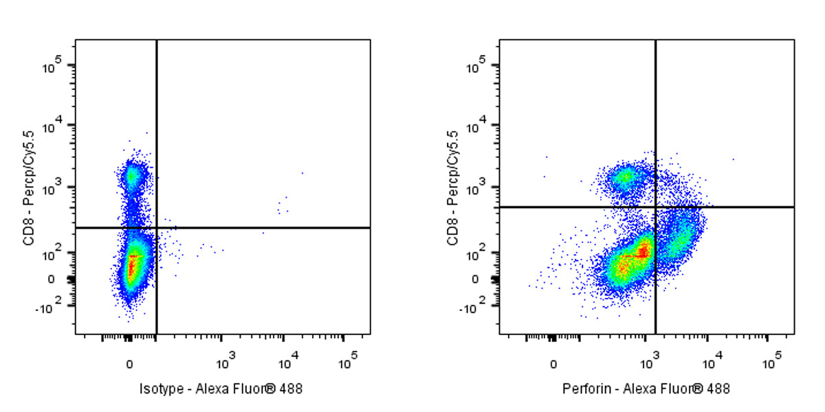 Mouse Anti-Human Perforin Antibody (S-3064)