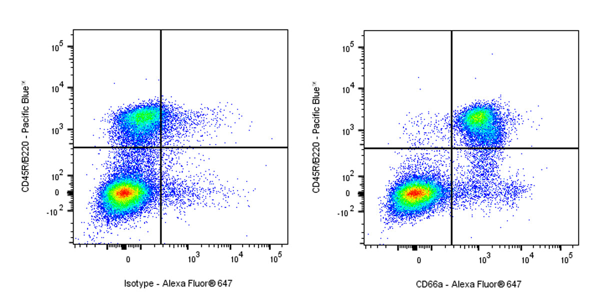 Mouse Anti-Mouse CD66a Antibody (S-R677)