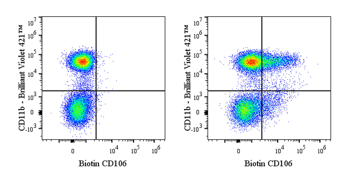 Biotin Rat Anti-Mouse CD106 Antibody (S-R733)