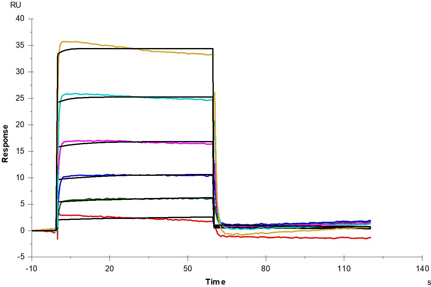 IFN-alpha/beta R1 His Tag Protein, Human