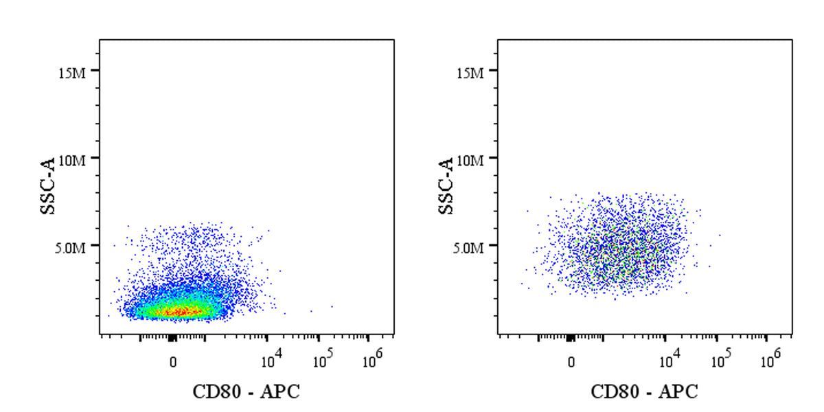 APC Armenian hamster Anti-Mouse CD80 Antibody (16-10A1)