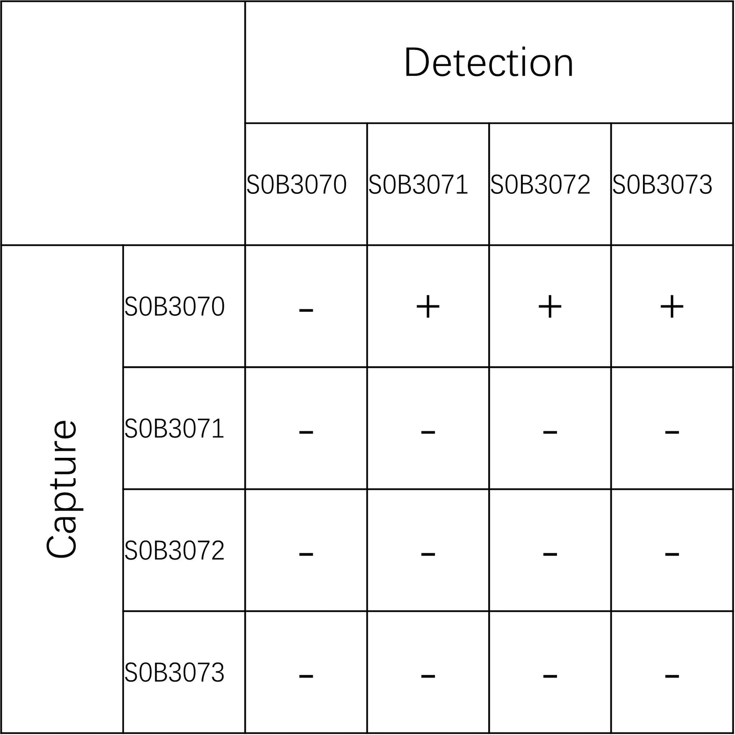 MPO Recombinant Rabbit mAb (SDT-224-92)