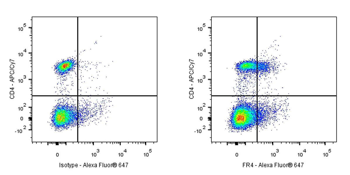 Rat Anti-Mouse FR4 Antibody (S-R705)
