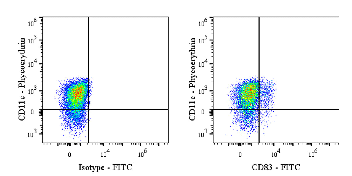 FITC Mouse Anti-Human CD83 Antibody (HB15e)