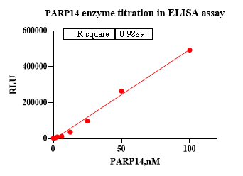 PARP14, GST Tag Protein