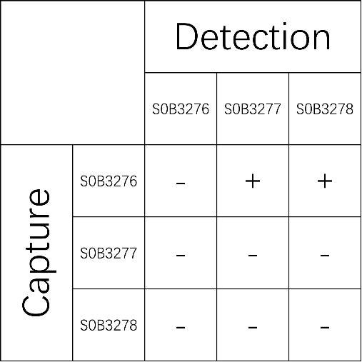 DKK-1 Recombinant Rabbit mAb (SDT-232-235)