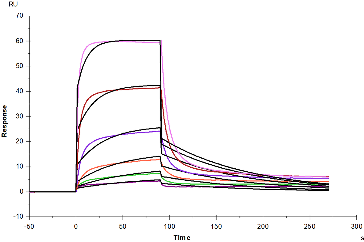 NKG2D/CD314 His Tag Protein, Human