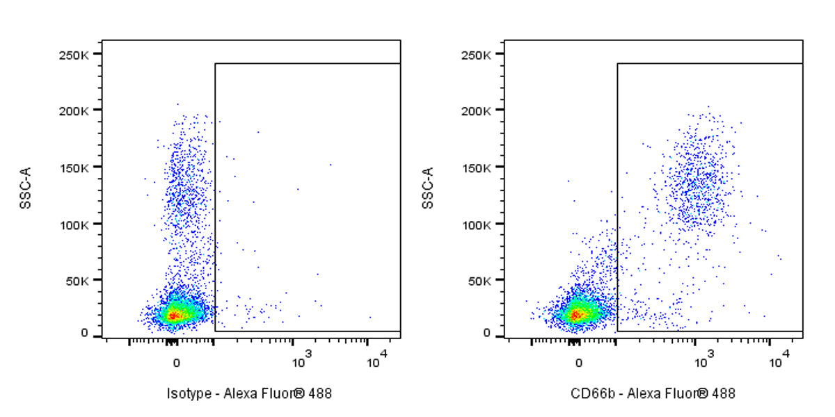 Mouse Anti-Human CD66b Antibody (G10F5)