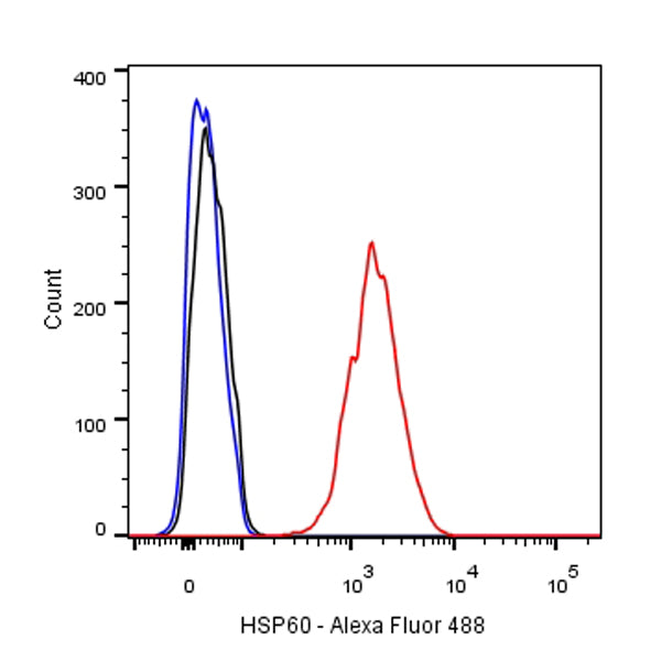 HSP60 Recombinant Rabbit mAb (Alexa Fluor® 488 conjugate) (SDT-R012)