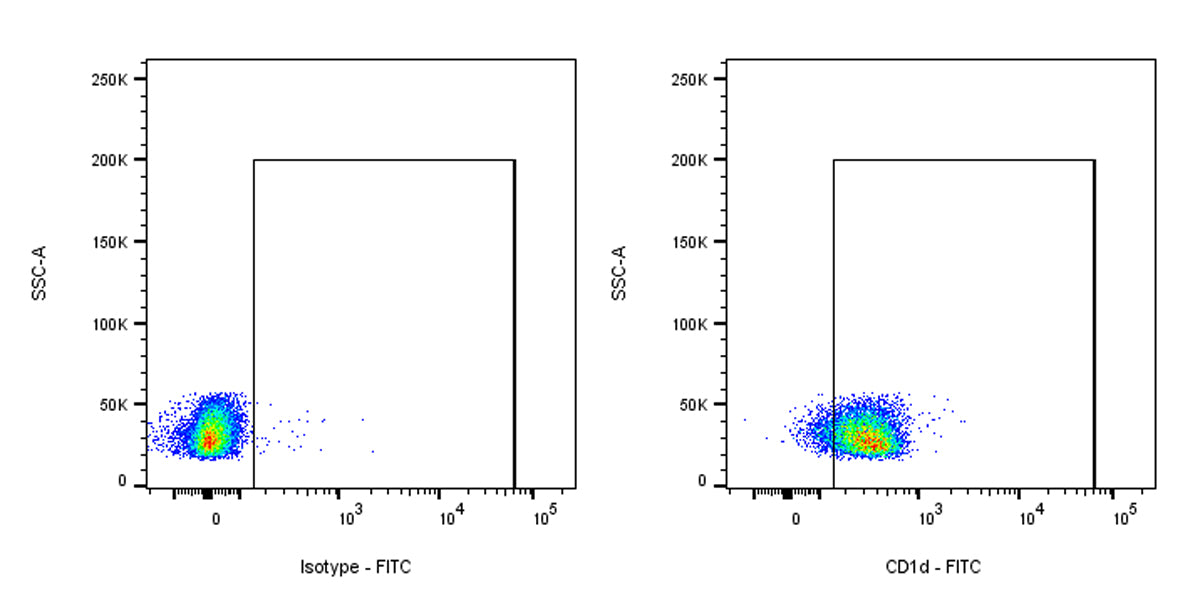 FITC Mouse Anti-Rat CD1d Antibody (S-R701)