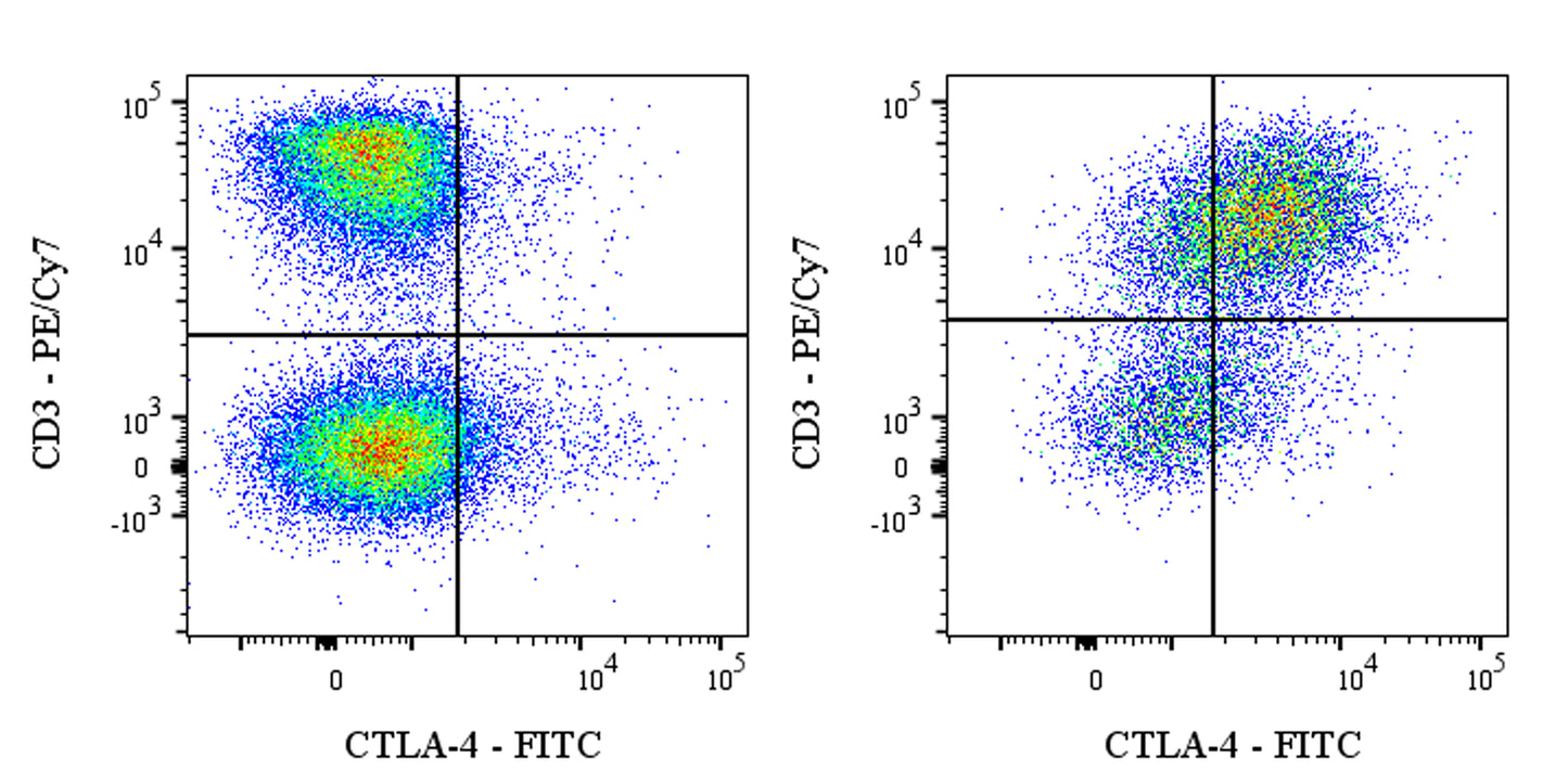 FITC Armenian hamster Anti-Mouse CTLA-4 (CD152) Antibody (UC10-4F10-11)
