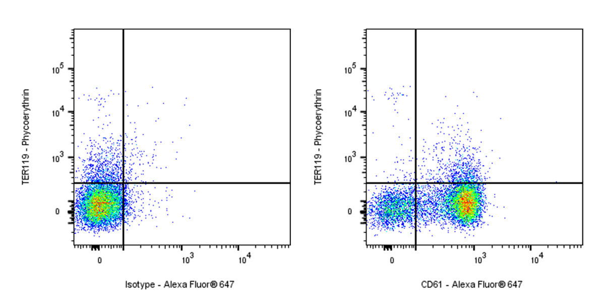 Alexa Fluor® 647 Armenian hamster Anti-Mouse/Rat CD61 Antibody (2C9.G2)