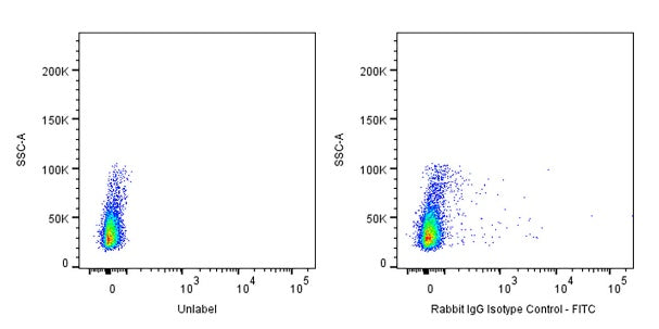 FITC Rabbit IgG Isotype Control Antibody (S-R058)