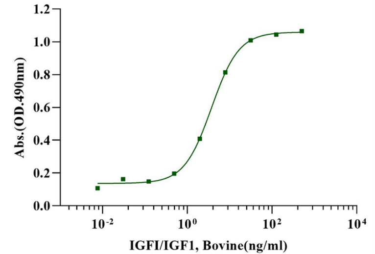 IGF-I Protein, Bovine/Human