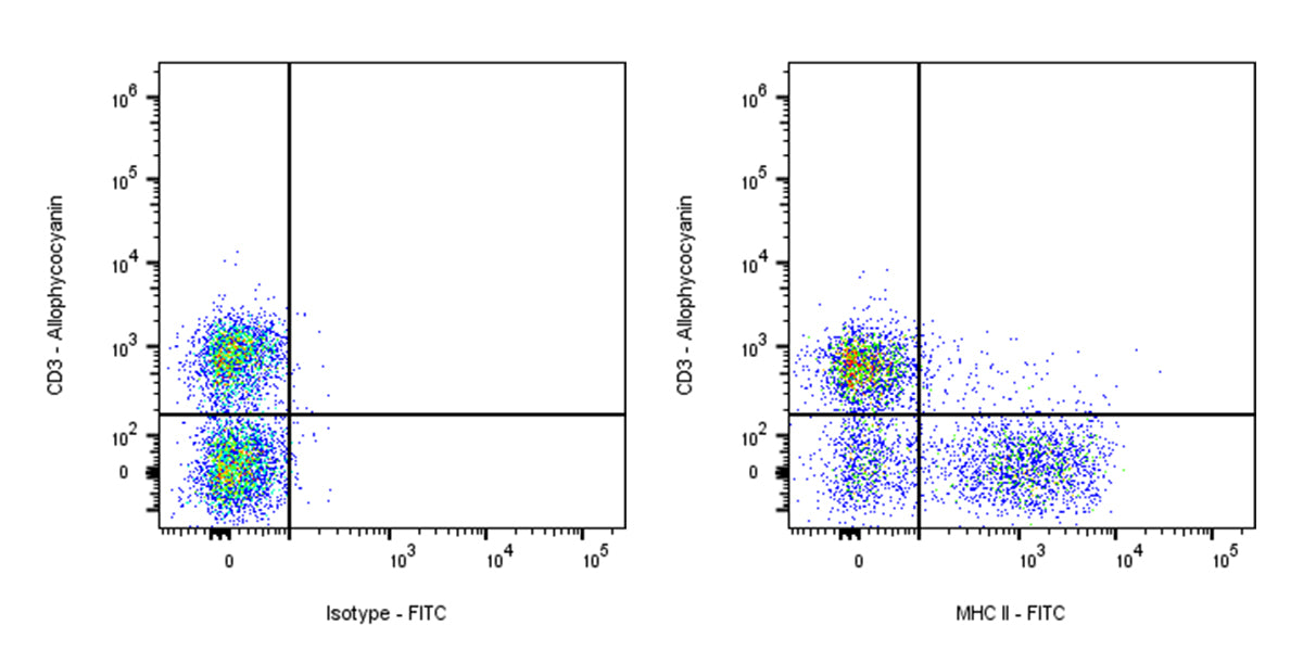 FITC Mouse Anti-Rat MHC II (RT1D) Antibody (OX-17)