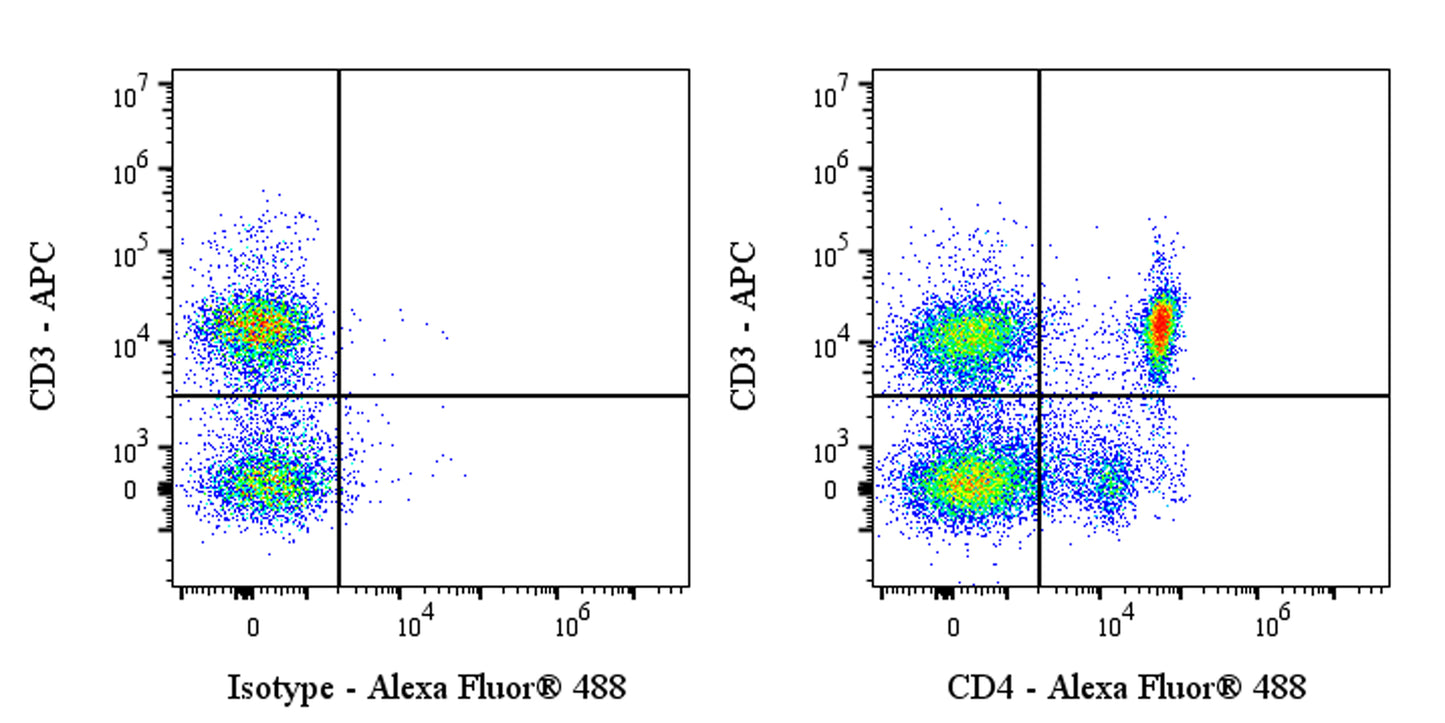 Invivo anti-Rat CD4 Recombinant mAb
