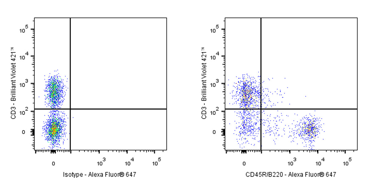 Alexa Fluor® 647 Rat Anti-Mouse CD45R/B220 Antibody (RA3-6B2)