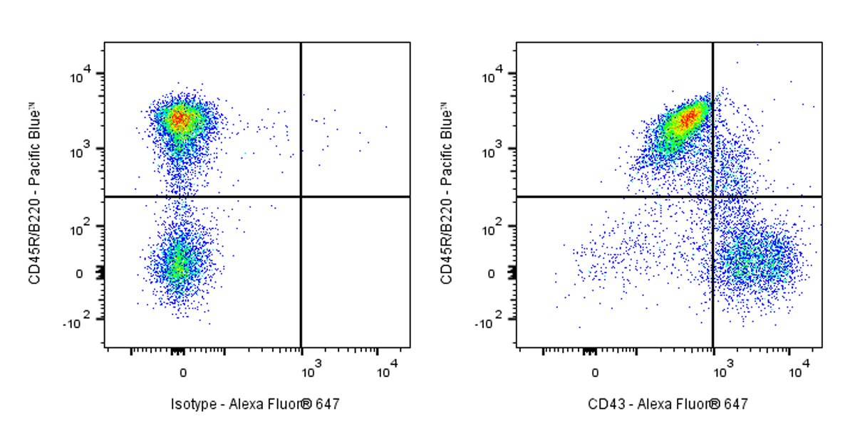 Alexa Fluor® 647 Rat Anti-Mouse CD43 Antibody (S-R588)