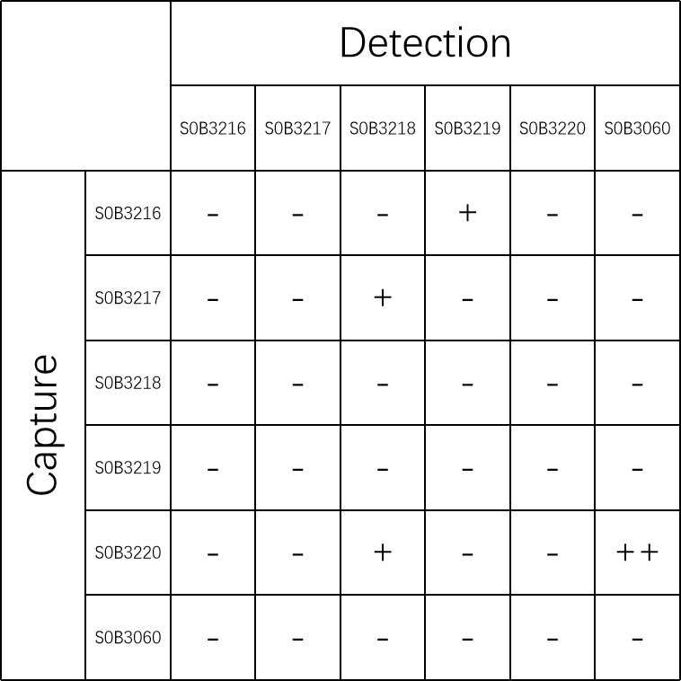 Tau (phospho T231) Recombinant Rabbit mAb (SDT-177-1)