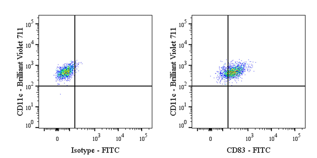 FITC Rabbit Anti-Human CD83 Antibody (S-4523-8)