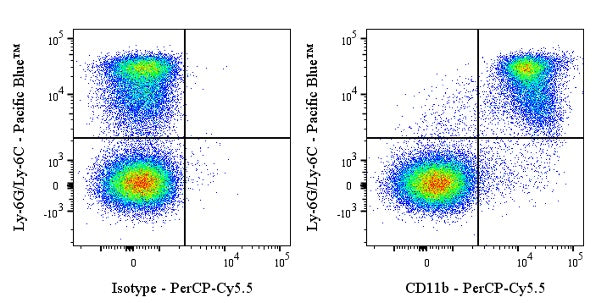 PerCP-Cy5.5 Rat Anti-Mouse/Human CD11b Antibody (M1/70)