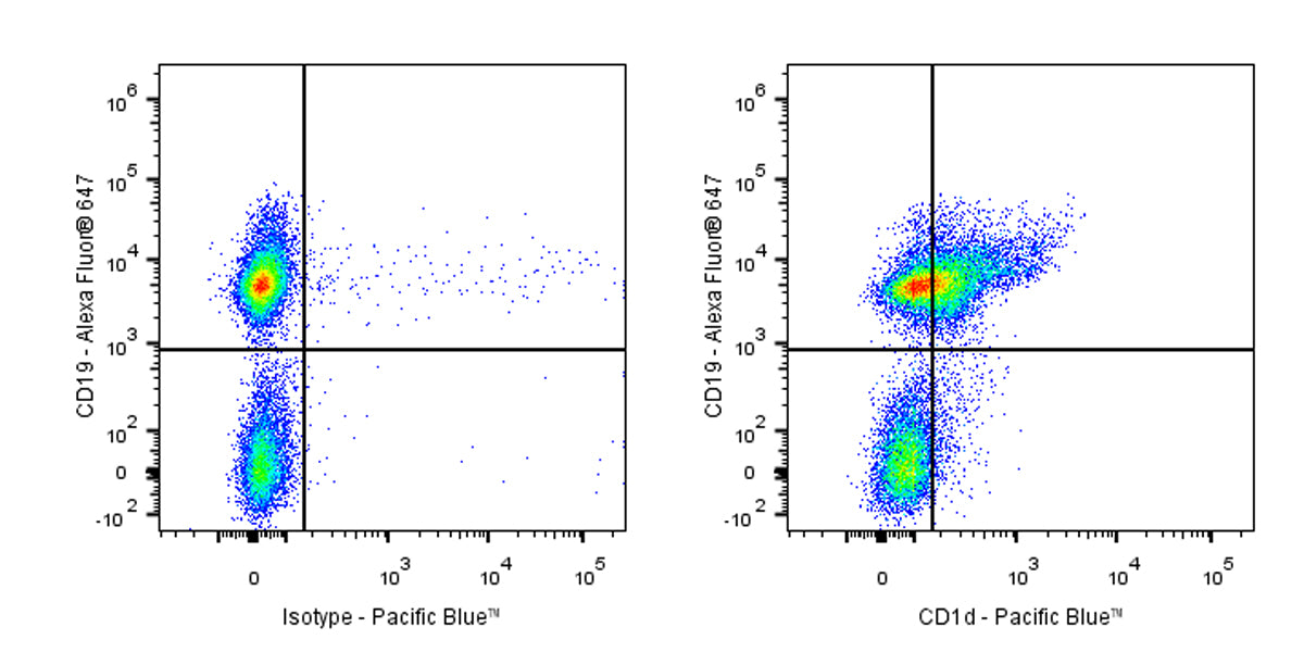 Pacific Blue Rat Anti-Mouse CD1d Antibody (1B1)