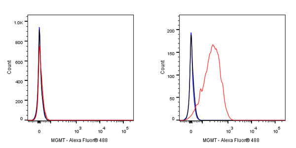MGMT Recombinant Rabbit mAb,PBS Only (SDT-522-71)