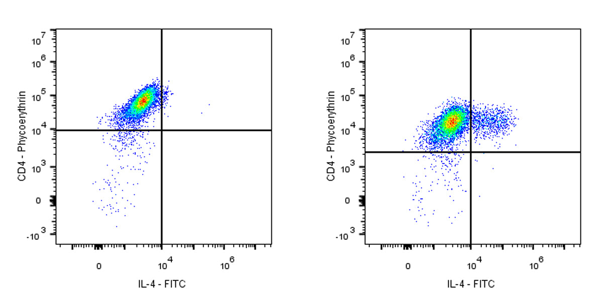 FITC Rat Anti-Human IL-4 Antibody (MP4-25D2)