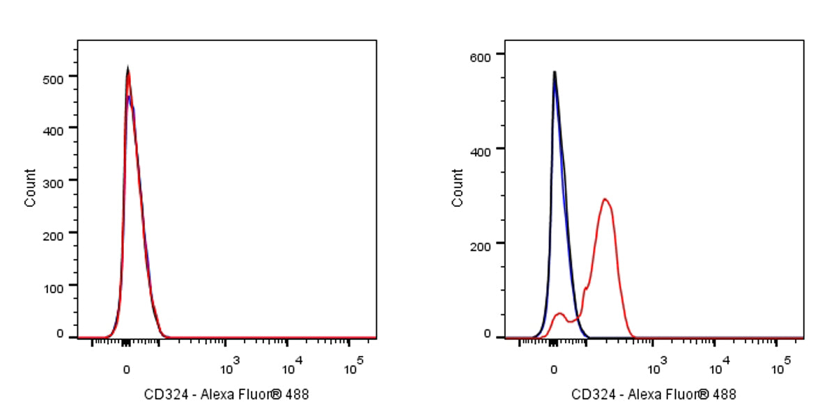 Rat Anti-Mouse/Human CD324 Antibody (S-R650)