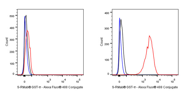 S-RMab® GST-π Recombinant Rabbit mAb (SDT-561-78)