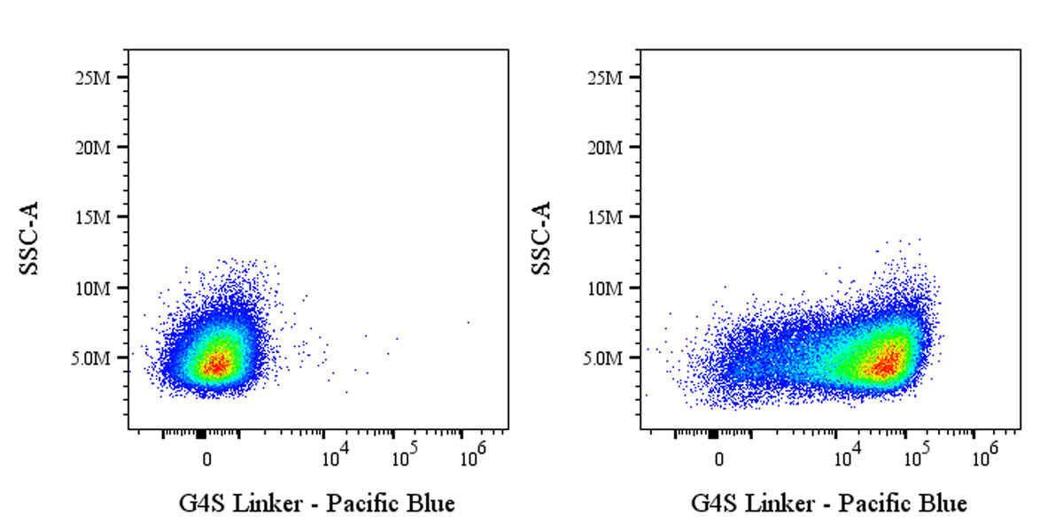 G4S Linker Recombinant Rabbit mAb (Pacific Blue Conjugate) (S-5030)
