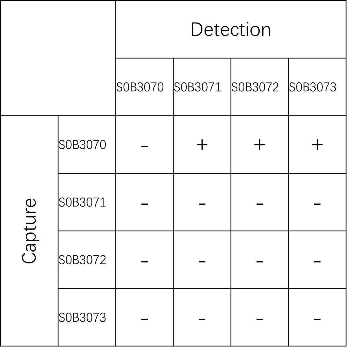 MPO Recombinant Rabbit mAb (SDT-224-72)