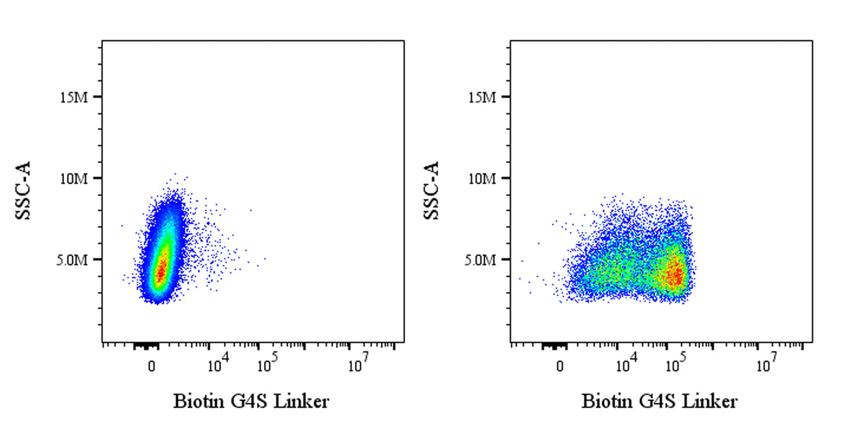 G4S linker Recombinant Rabbit mAb (Biotin Conjugate) (S-5030)