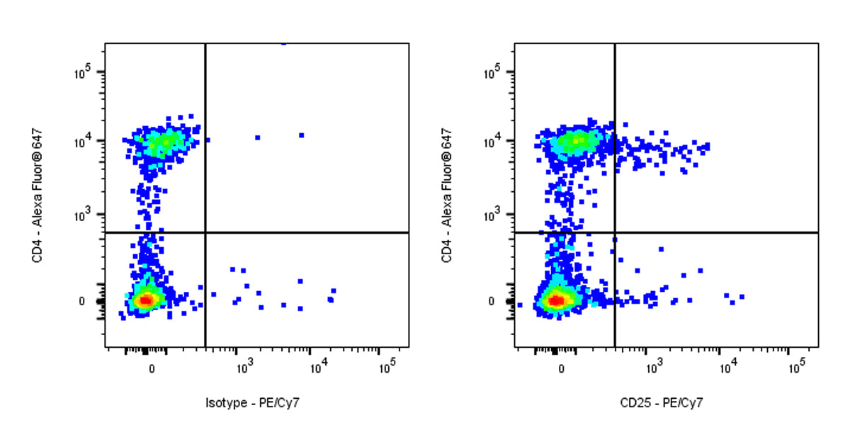 PE-Cy7 Rat Anti-Mouse CD25 Antibody (S-R441)