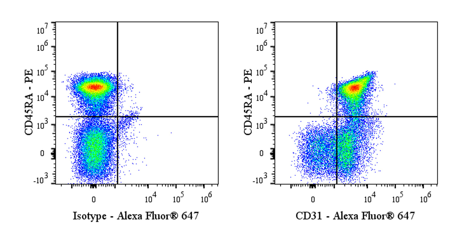 Alexa Fluor® 647 Mouse Anti-Rat CD31 Antibody (TLD-3A12)