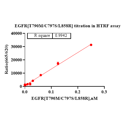 Product image media