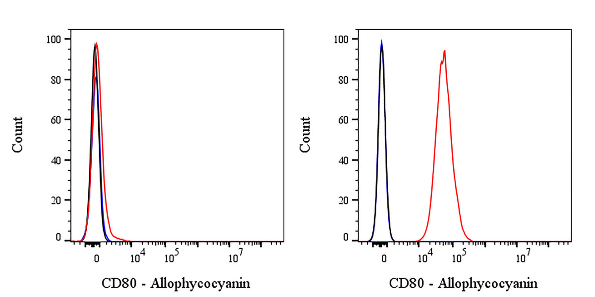 APC Mouse Anti-Human CD80 Antibody (S-3119)