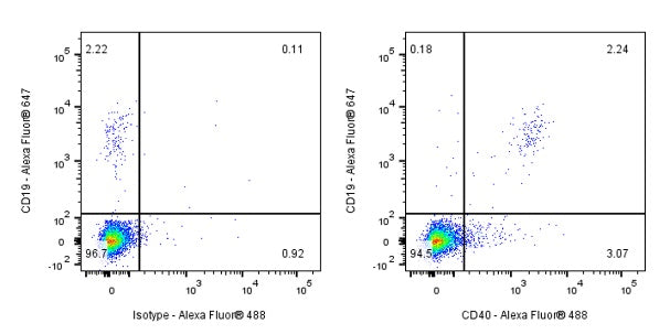 CD40 Recombinant Mouse mAb (S-R485)
