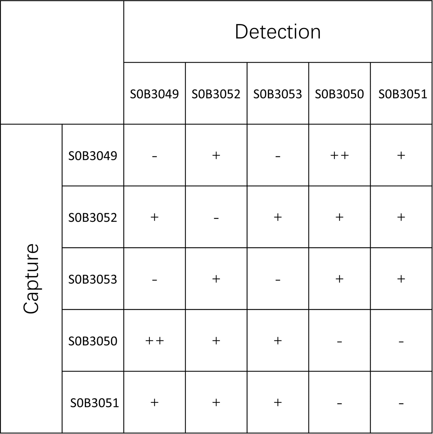 ST2 Recombinant Rabbit mAb (SDT-094-73)