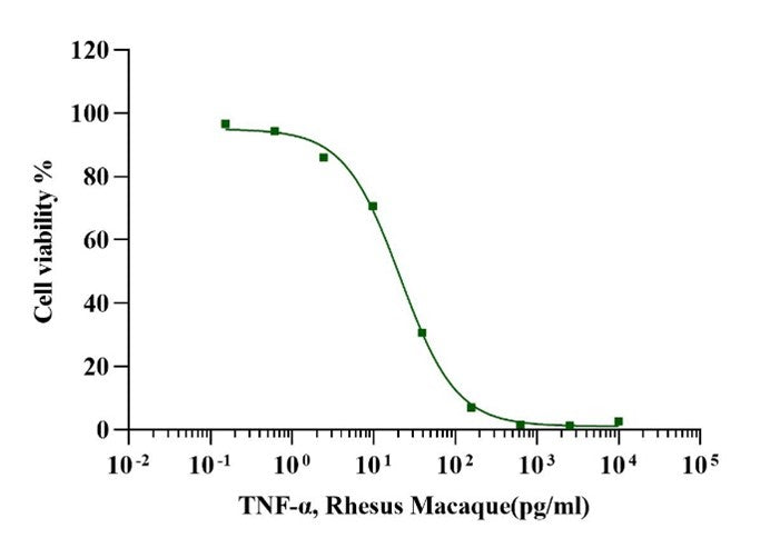 TNF-α Protein, Rhesus Macaque