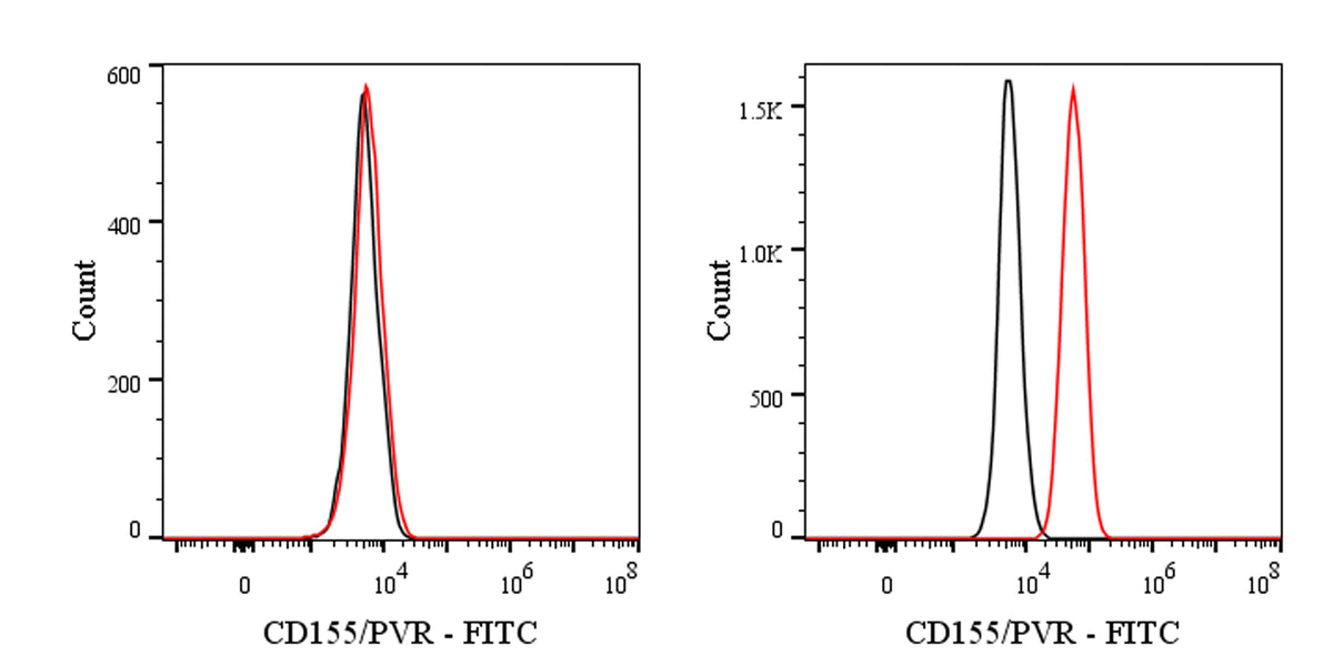 FITC Mouse Anti-Human CD155/PVR Antibody (SKII.4)