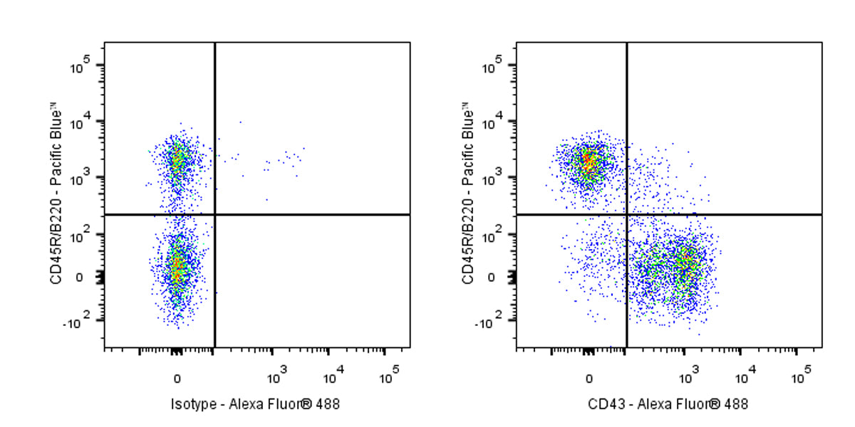 Alexa Fluor® 488 Rat Anti-Mouse CD43 Antibody (S-R588)