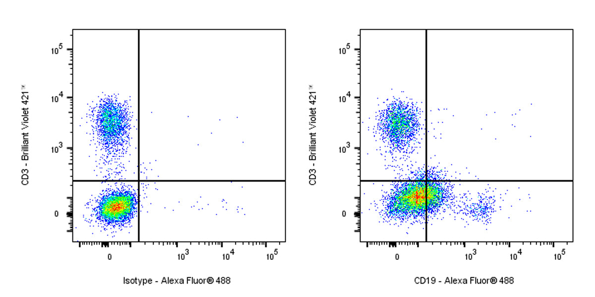 Alexa Fluor® 488 Mouse Anti-Human CD19 Antibody (HIB19)