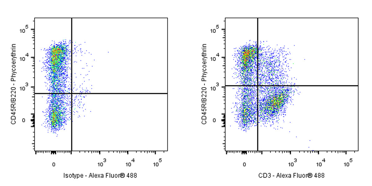 Mouse Anti-Rat CD3 Antibody (1F4)