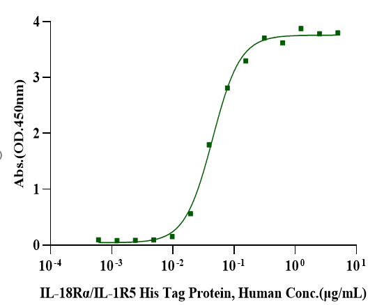 IL-18Rβ/IL-1R7 Fc Chimera Protein, Human