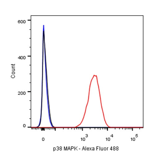 p38 MAPK Recombinant Rabbit mAb (S-508-19)