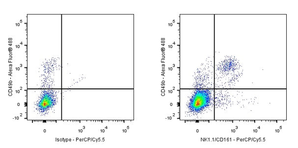 PerCP-Cy5.5 Rabbit Anti-Mouse NK1.1/CD161 Antibody (S-428-32)
