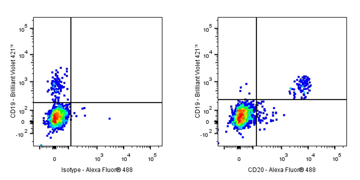 Alexa Fluor® 488 Mouse Anti-Human CD20 Antibody (2H7)